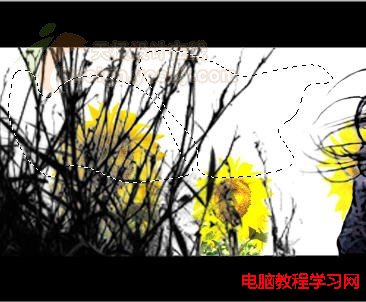 用Ps将自己的照片做成明信片 - 迎春 - 