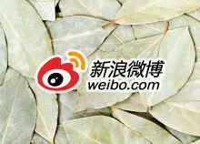 新浪微博企业版影响力分析有什么用？ 全福编程网