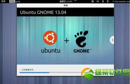 ubuntu13.04友帮拓系统图文安装教程-图13