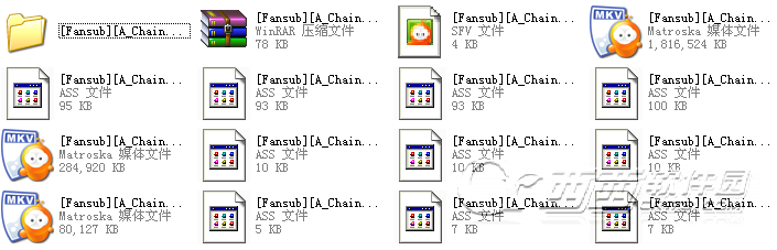 ASS是什么文件？ 全福编程网